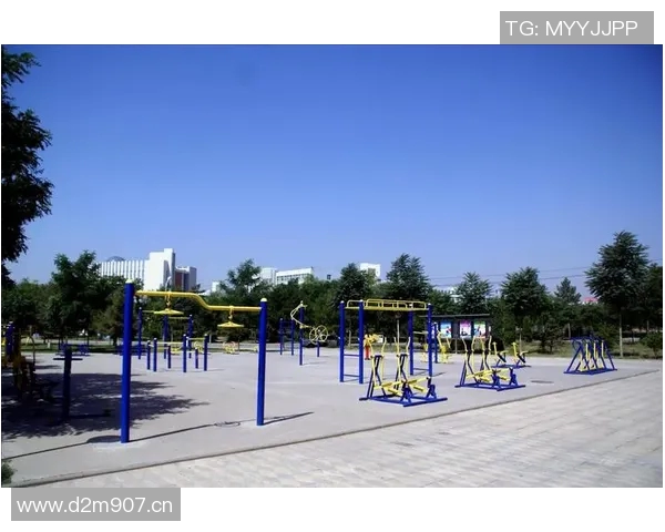 社区健身器材配置与使用情况分析报告